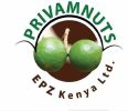 Priva M Nuts